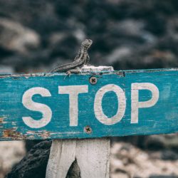 5 Things to Do, Stop, & Continue