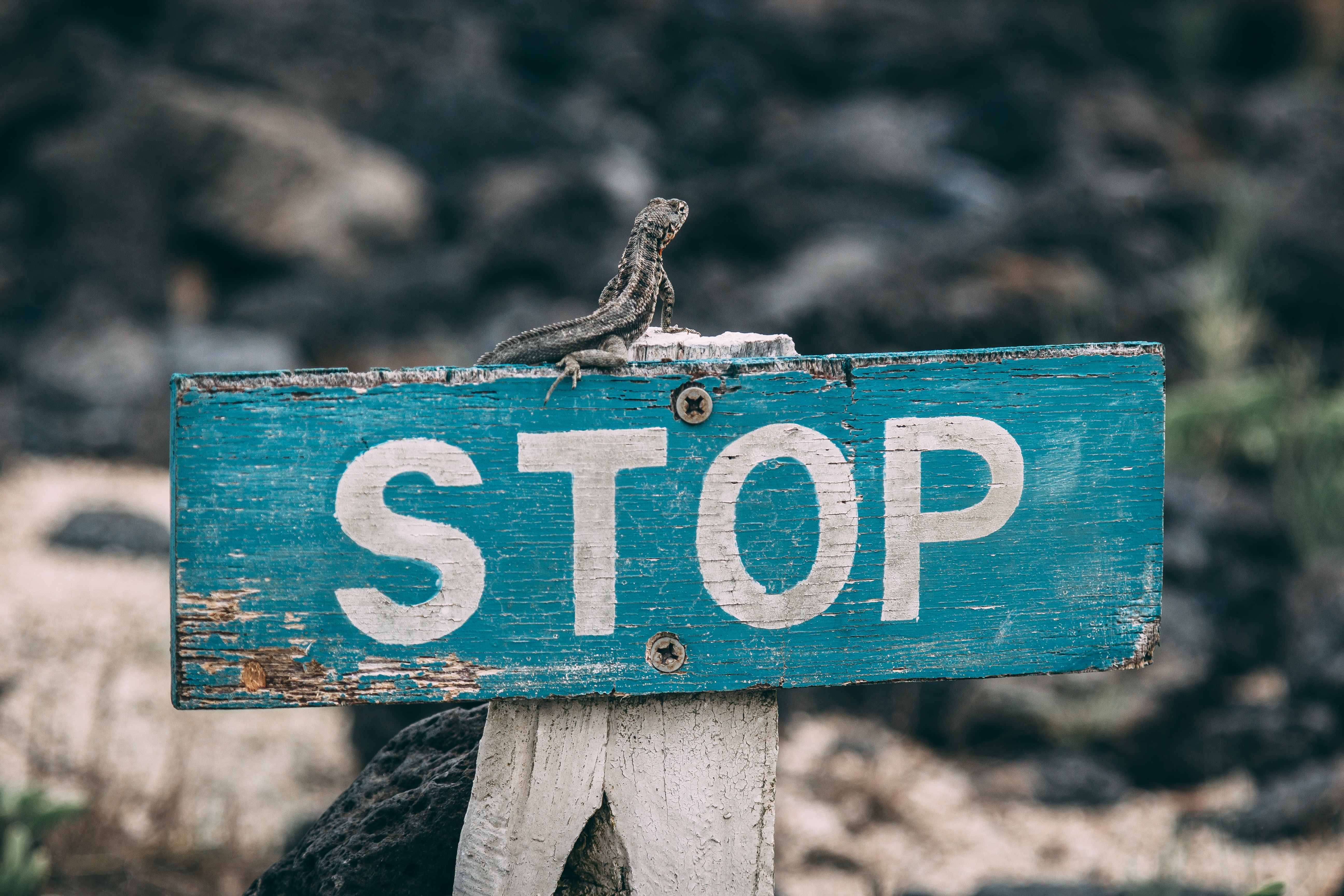 5 Things to Do, Stop, & Continue