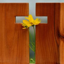 An Invitation to Experience Peace | www.familywiseasia.com