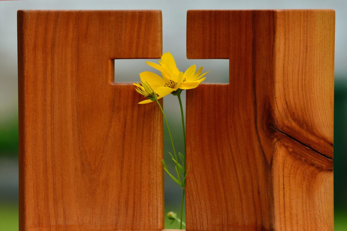 An Invitation to Experience Peace | www.familywiseasia.com