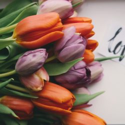 How to Love a Single Mom Without Saying “I Love You” | www.familywiseasia.com