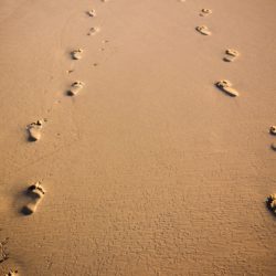 A Journey to Self Security | www.familywiseasia.com