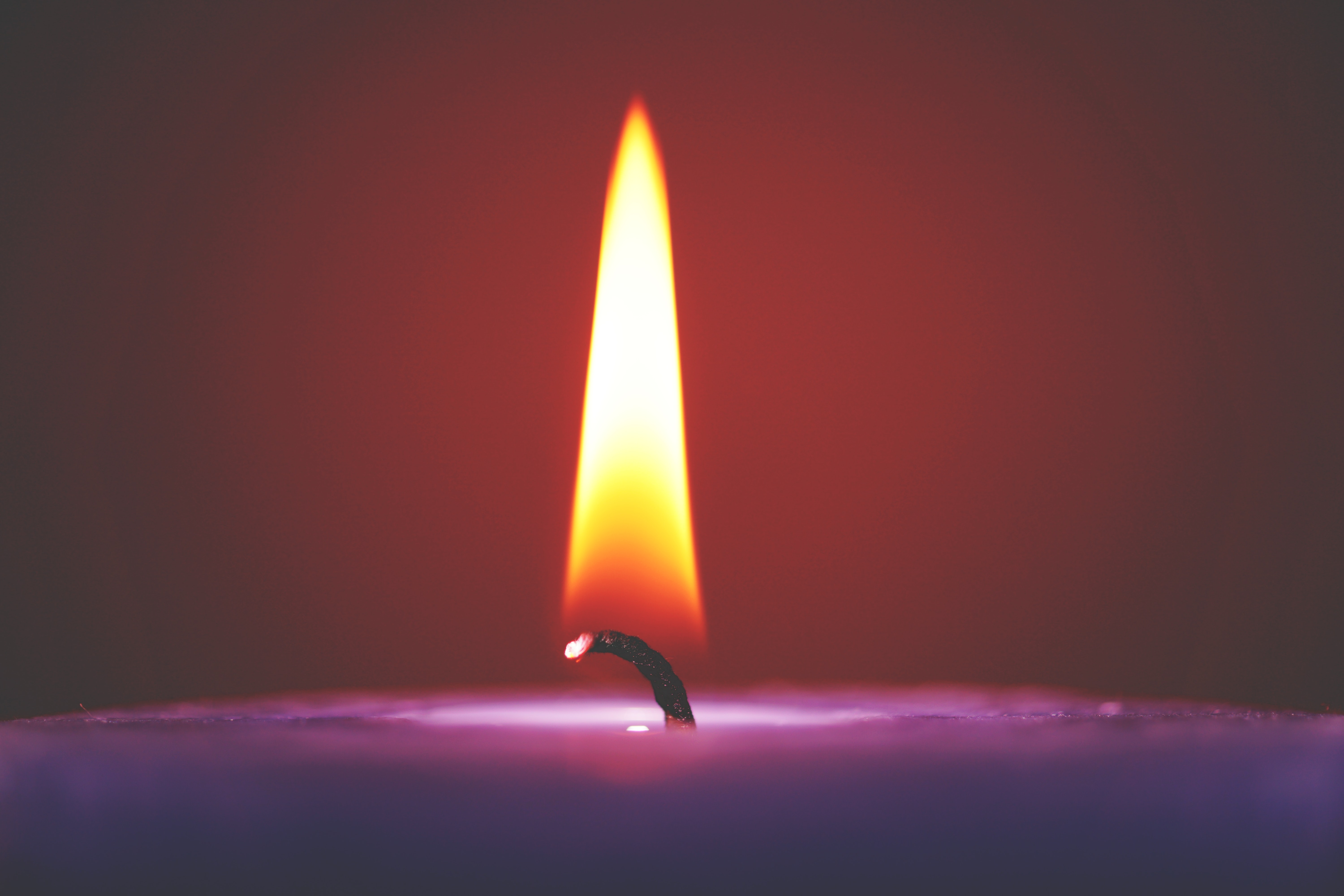 The Hope of Christmas | www.familywiseasia.com